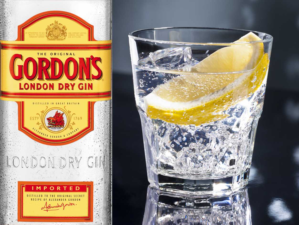 Джин gordons (гордонс) — история создания и характеристика напитка
