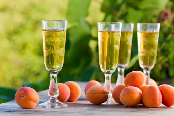 Вино из абрикосов - вкусные рецепты в домашних условиях без сахара, из компота, сока, варенья