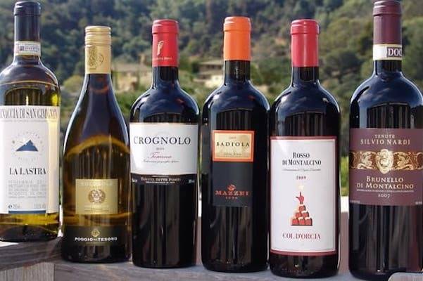 Итальянское вино: классификация, обозначения, особенности выбора и употребления. 110 фото лучших вин из италии
