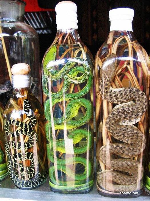 Китайская и вьетнамская водка со змеей — в чем разница и какая лучше