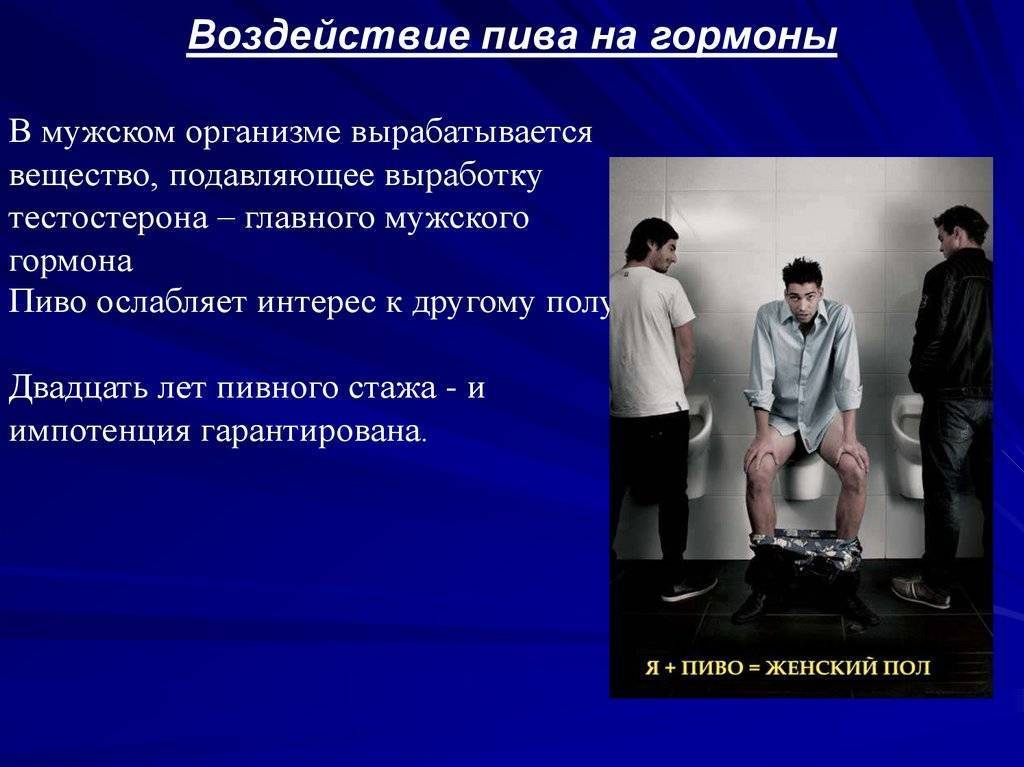 9 влияние на человека. Гормоны в пиве. Женский гормон в пиве. Гормоны от пива у женщин. От пива женские гормоны у мужчин.