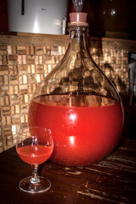 Полезное домашнее вино из шиповника. проверенный рецепт приготовления своими руками