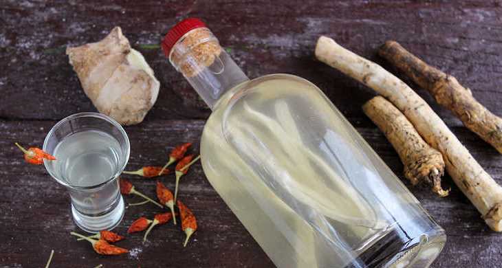 Настойка из хрена: рецепты приготовления хреновухи из водки и самогона, как сделать настойку на спирту