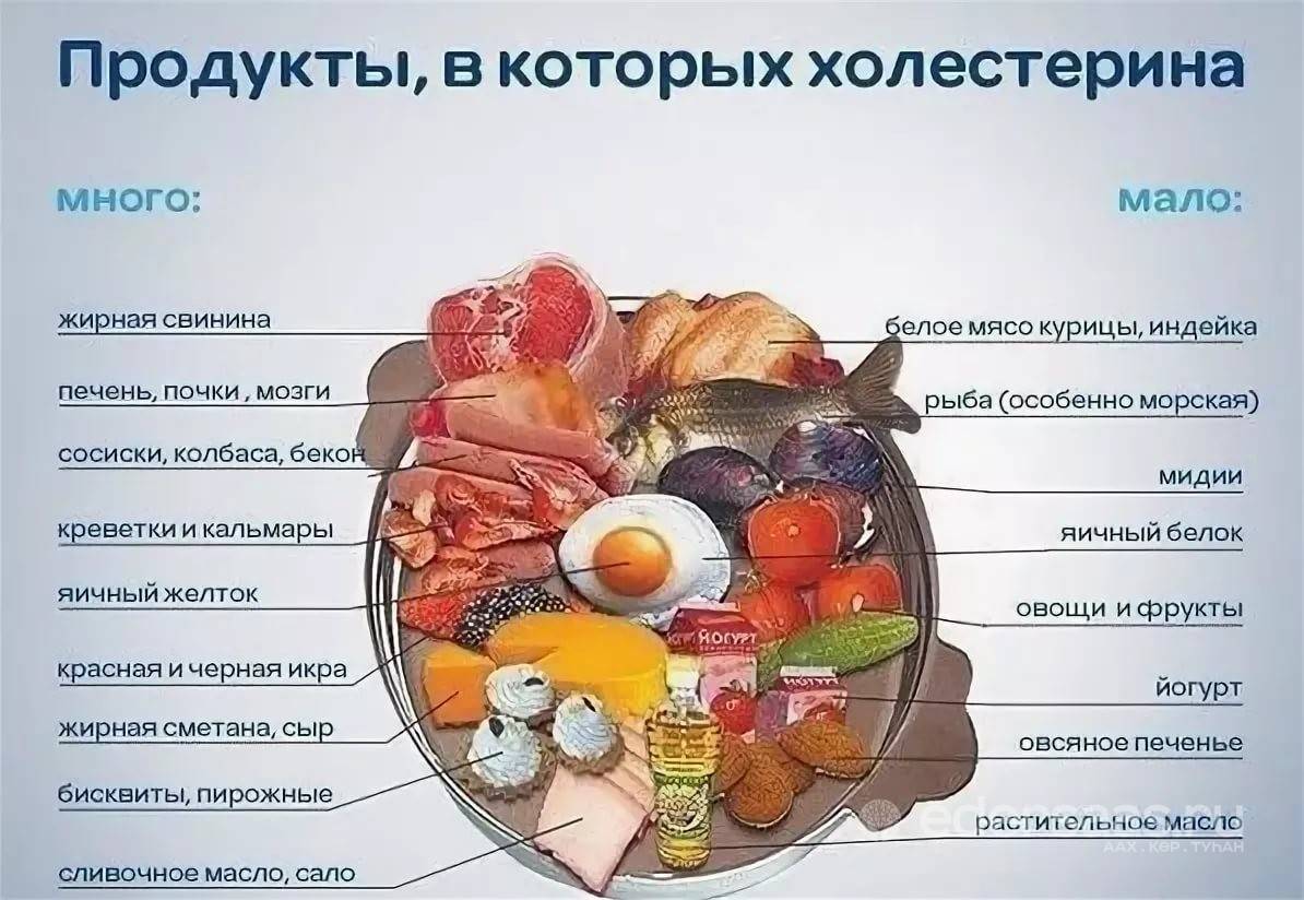 Побольше список. В каких продуктах холестерин таблица. Продукты с высоким содержанием холестерина список. Продукты содержащие холестерин. Продукты с вредным холестерином.