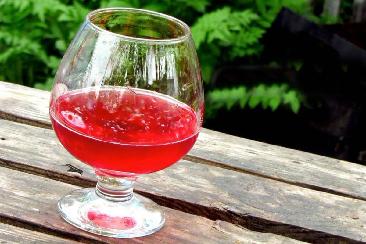Вино, ликер и настойка из малины – 6 проверенных рецептов | дачная кухня (огород.ru)