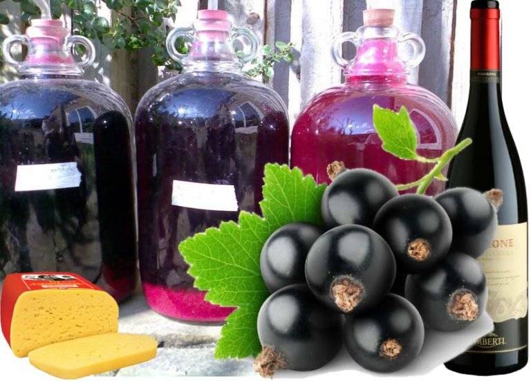Лучшие рецепты приготовления вина из смородины в домашних условиях