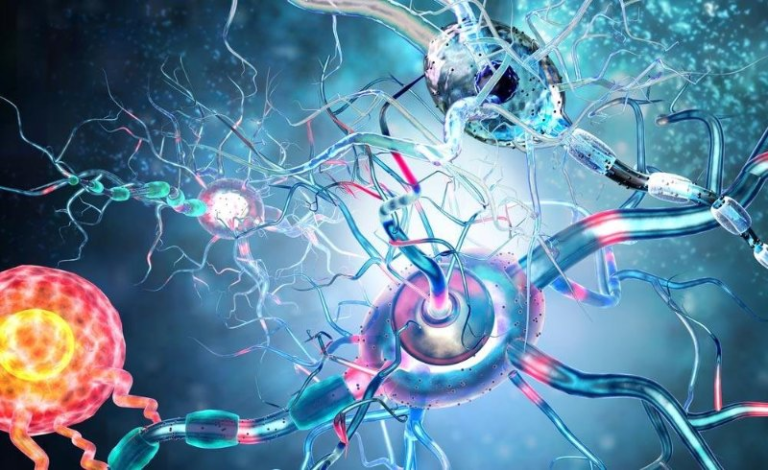 Нервные клетки не восстанавливаются! миф или правда? | викиум | яндекс дзен