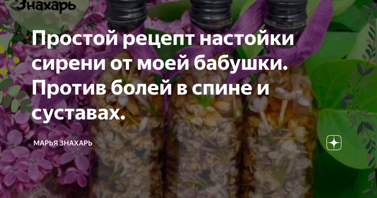 Настойка из цветов сирени на водке рецепт с фото пошаговый