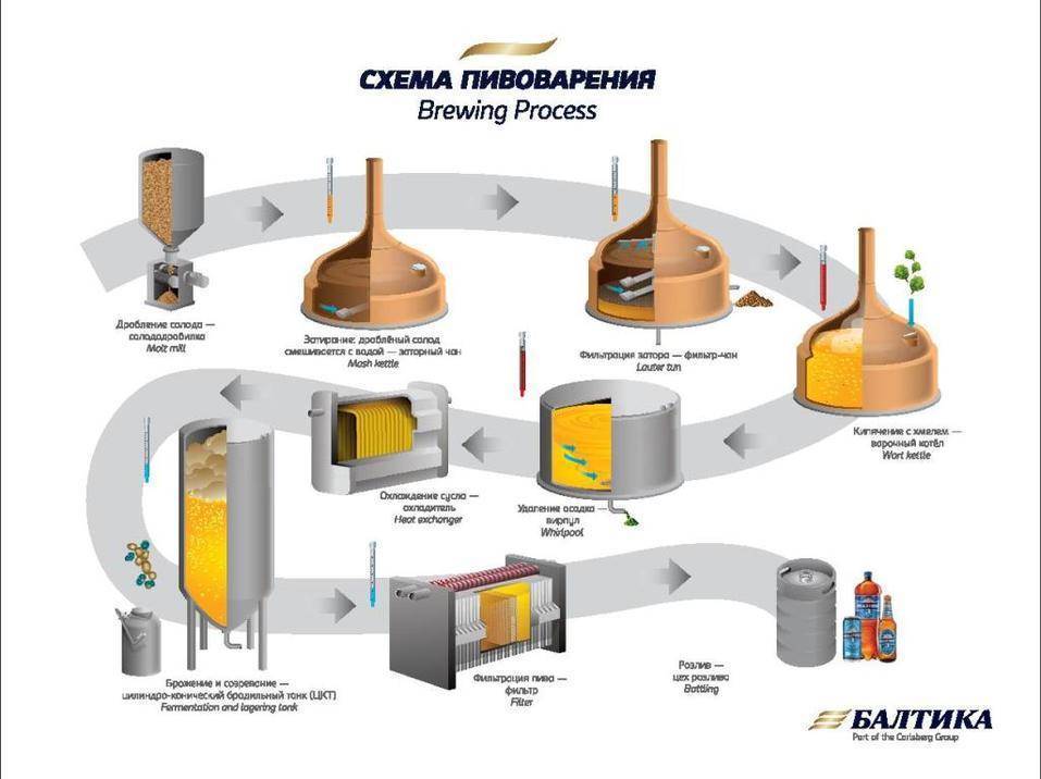 Технология производства пива на заводах
