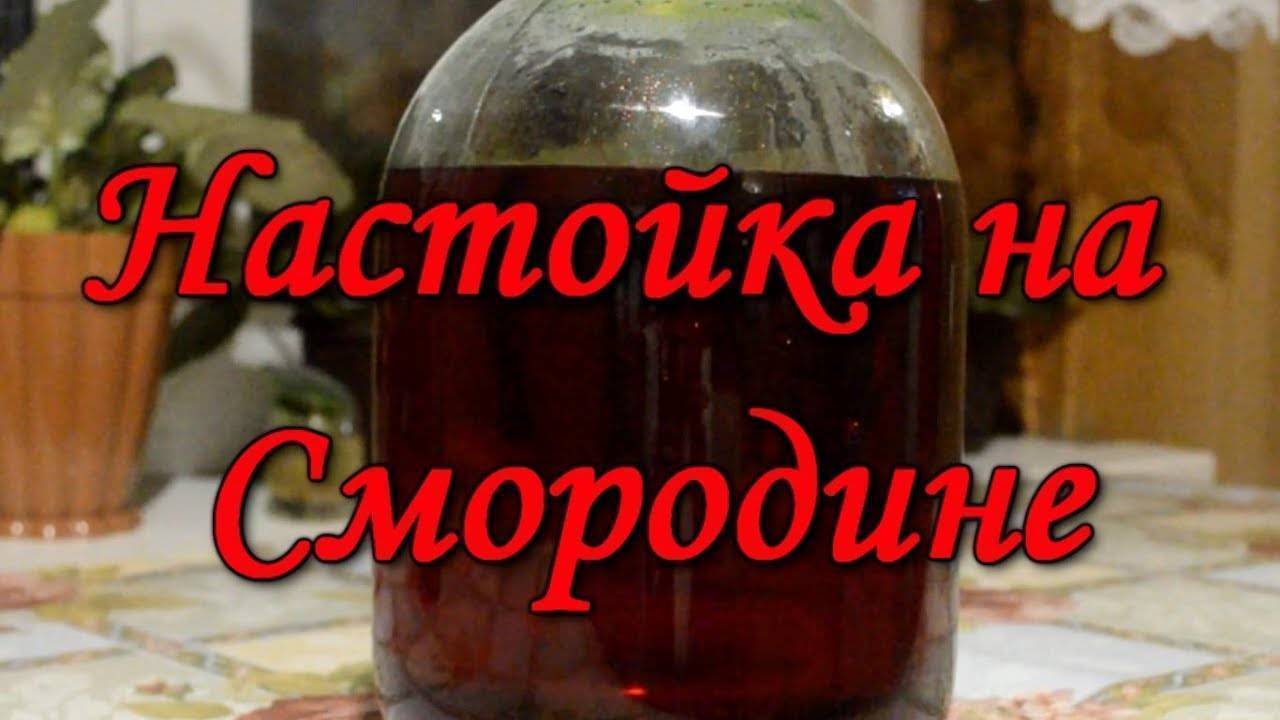 Наливка из смородины — рецепты на поварёнок.ру