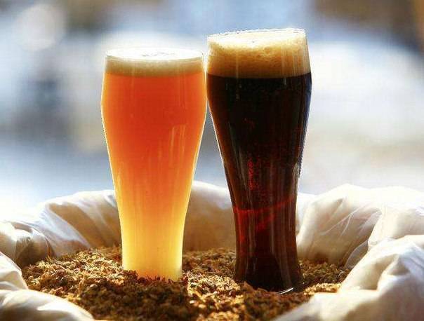 Темное пиво: состав и марки крепкого, нефильтрованного, польза и вред, какое лучше, рейтинг популярных напитков