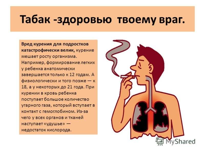 Химическая природа негативных последствий для организма человека курения и алкоголя