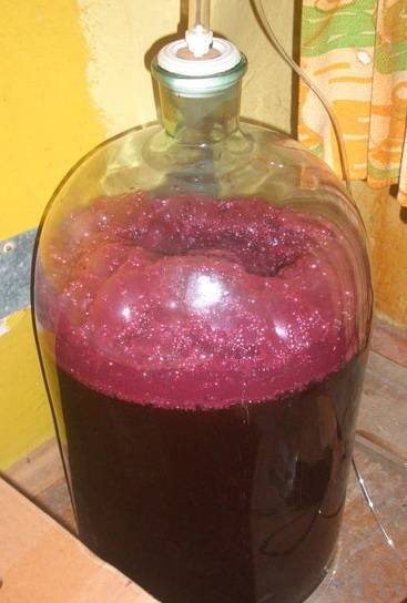 Вино из рябины черноплодной в домашних условиях: рецепты с фото пошагово, видео