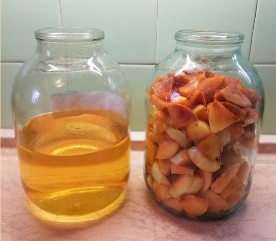 Домашняя настойка из яблок на водке (самогоне или спирту): технология приготовления напитка