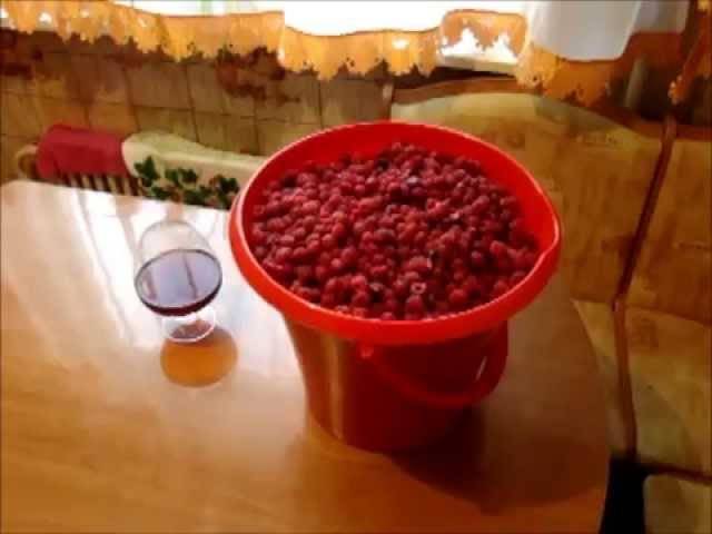 Винные дрожжи: как сделать своими руками, в домашних условиях