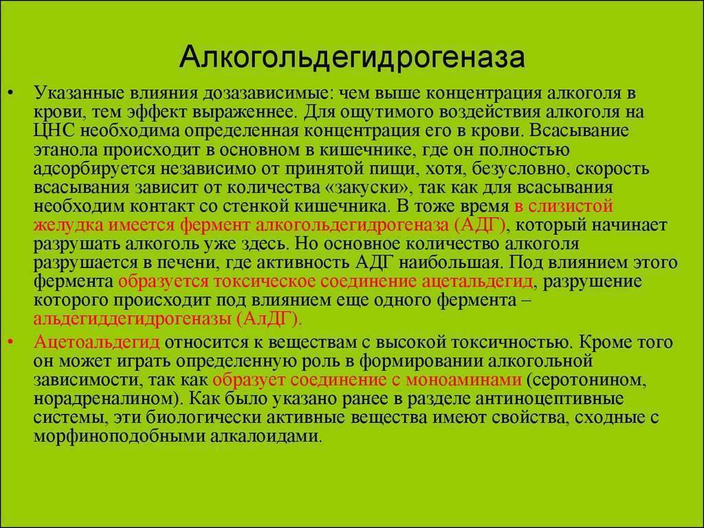 Какой фермент разрушает. Фермент разрушающий алкоголь. Алкогольдегидрогеназа. Алкоголь-дегирогеназа. Алкогольдегидрогеназа класс ферментов.