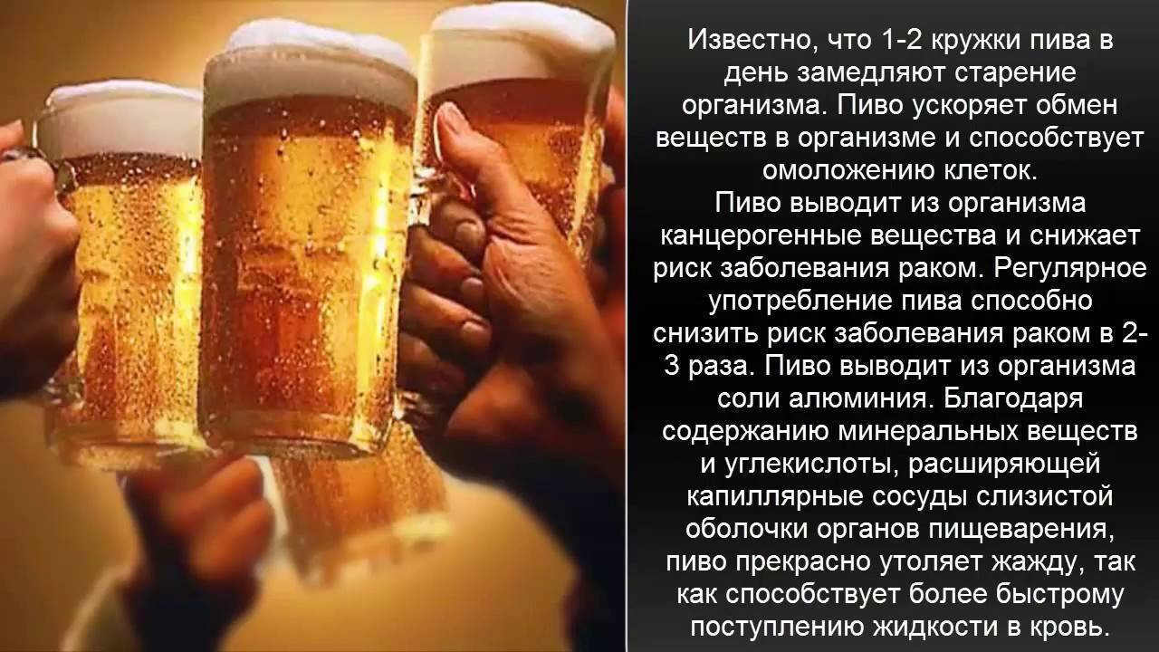 Как пиво влияет на организм мужчины?