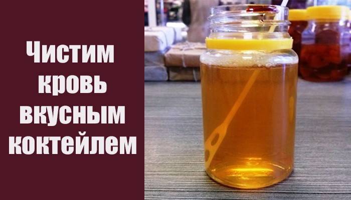 Чем почистить кровь в организме