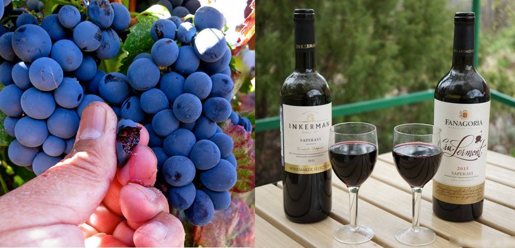 Из какого сорта винограда делают вино киндзмараули
