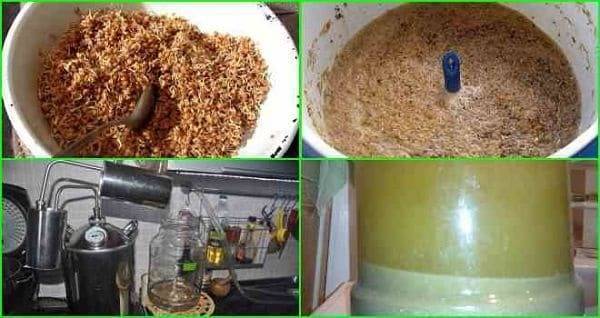 Рецепт самогона из ячменя. сделать брагу из ячменя для самогона в домашних условиях