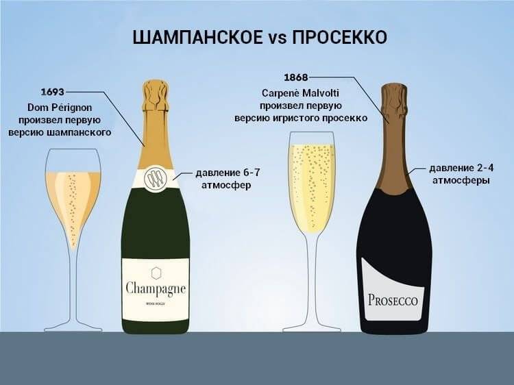 Чем отличается шампанское от игристого вина: в чем разница, отличие напитков, технология производства, а также что лучше и крепче