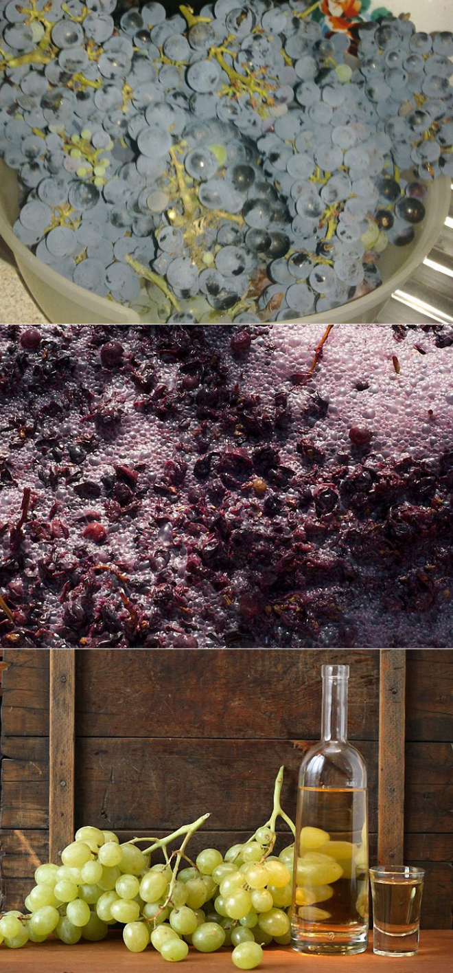 Сколько бродит вино: из винограда, яблочное, сливовое, из мезги (жмыха), из терна и т.д.