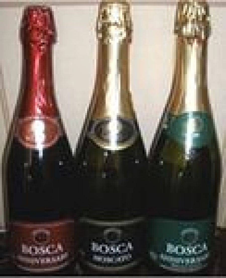 Боско бутылка. Шампанское Bosca Brut. Боско брют шампанское. Шампанское Bosca Anniversary. Шампанское Боско белое сладкое.