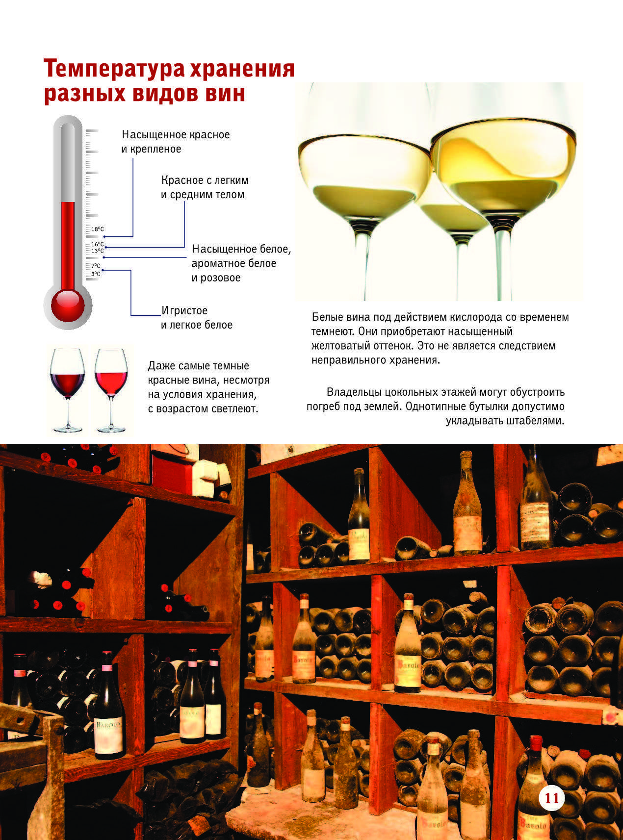 Вино хранится. Вино. Большой иллюстрированный гид | Шпаковский Марк Максимович. Температура хранения вина. Лучшая температура для хранения вина. Температура хранения вина в бутылках.