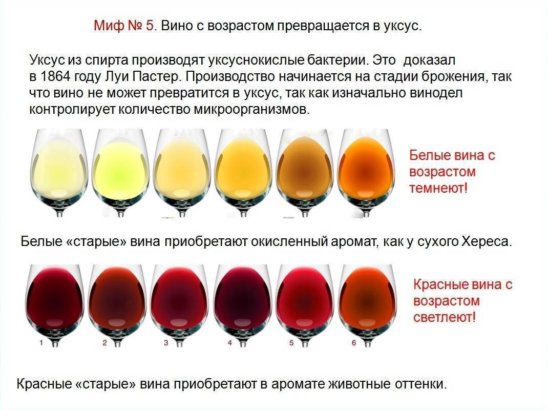 Почему вино превращается в уксус, как убрать кислоту из вина