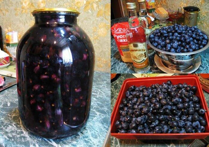Настойка из винограда на водке - домашние рецепты из ягод, жмыха и на косточках