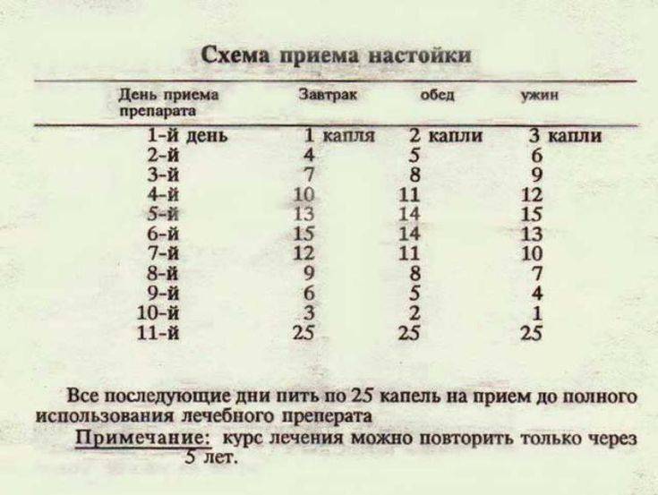 Как пить чесночную настойку на водке схема