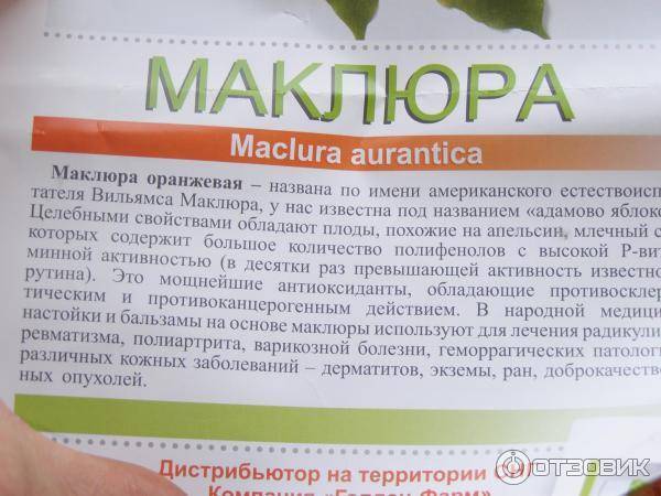 Адамово яблоко или маклюра для суставов: лечебные свойства, рецепт настойки, применение, фото
