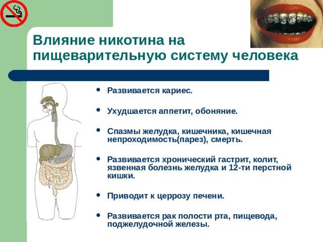 Презентация гигиена пищеварительной системы