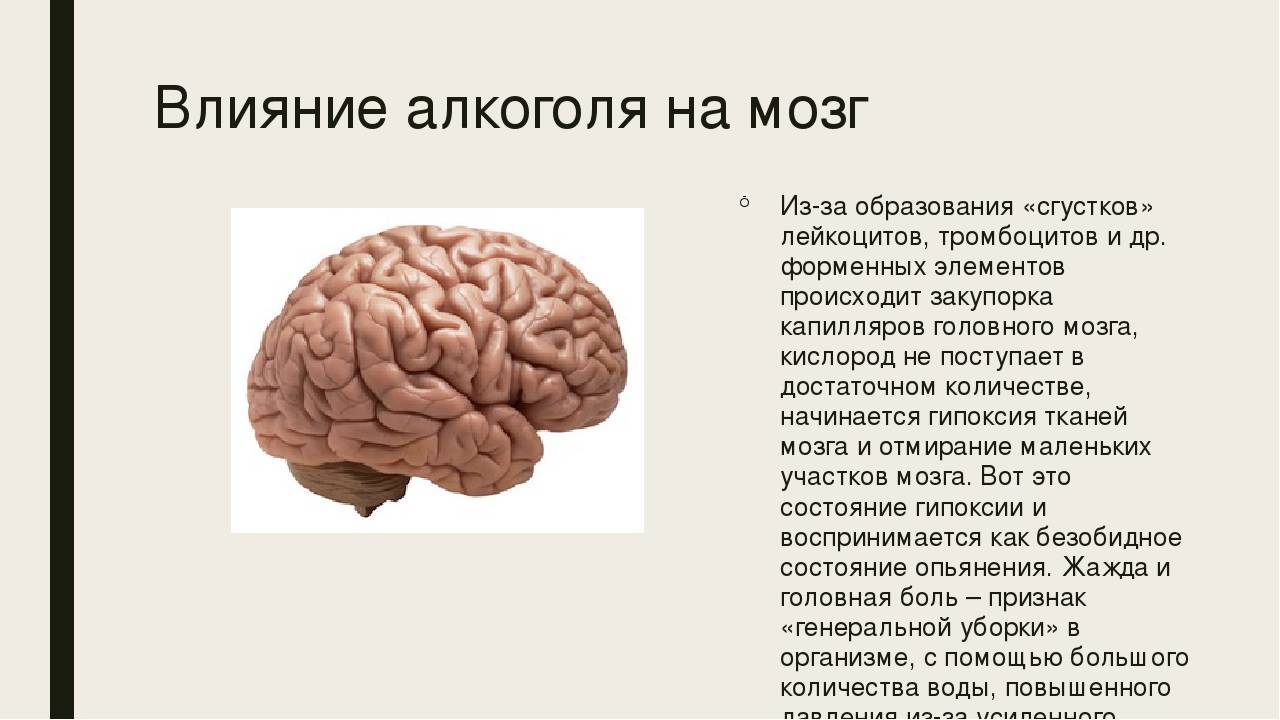 Рассмотрите схему подготовьте краткую справку на какие системы органов алкоголь влияет отрицательно