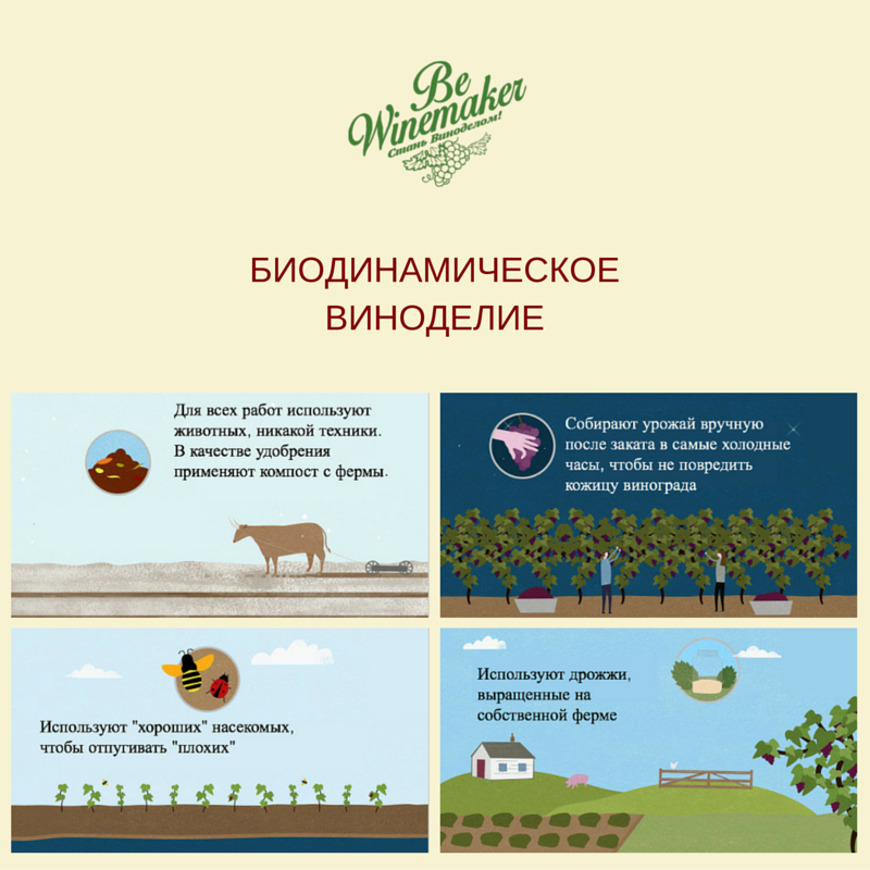 Игры в петнат: гид по «деревенскому» игристому