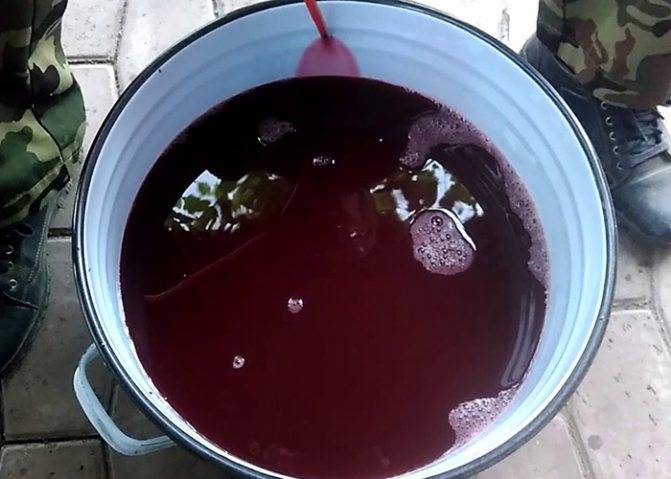 Простой рецепт приготовления вина из замороженных ягод в домашних условиях