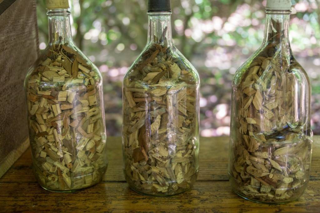 Польза мамахуаны: что это и как пить настойку из доминиканы