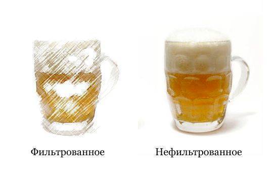 Какое пиво лучше: нефильтрованное или фильтрованное