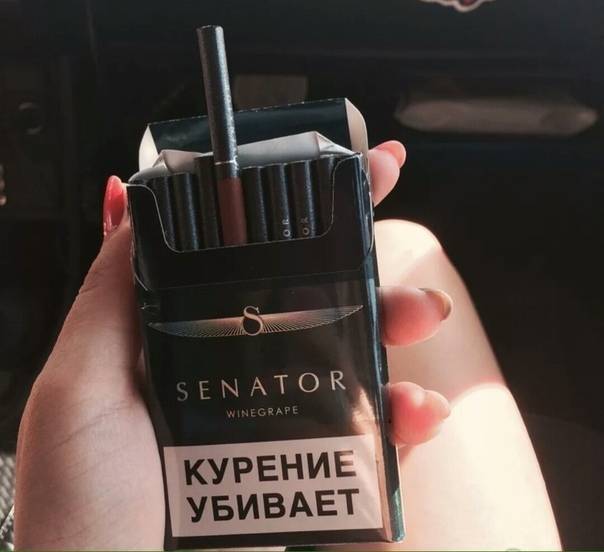 Сигареты сенатор