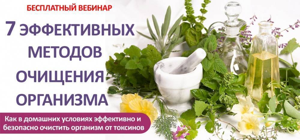 Чистка организма от шлаков и токсинов схема