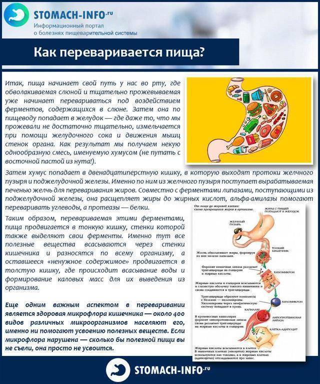 Чем остановить рвоту при отравлении