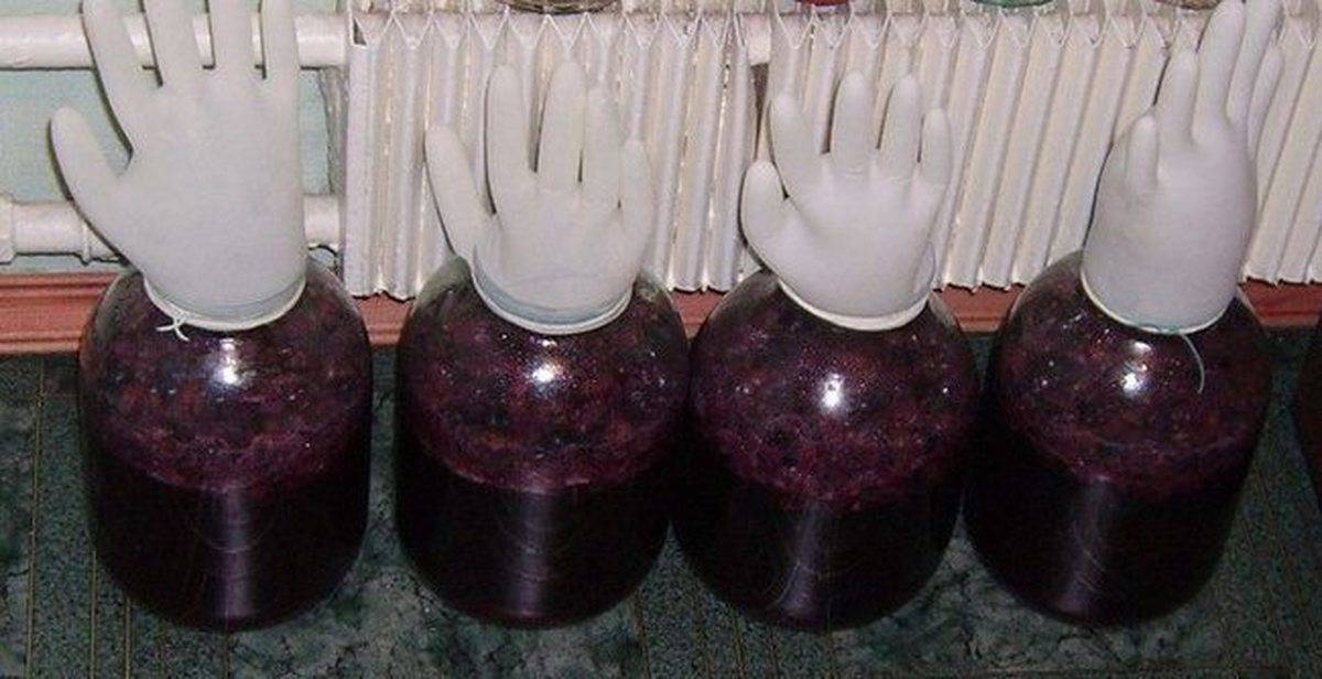 Домашнее вино из винограда: 14 простых рецептов с фото | дачная кухня (огород.ru)