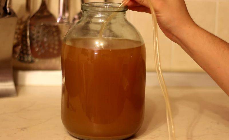 Брага из концентрированного яблочного сока - простые пошаговые рецепты для приготовления в домашних условиях
