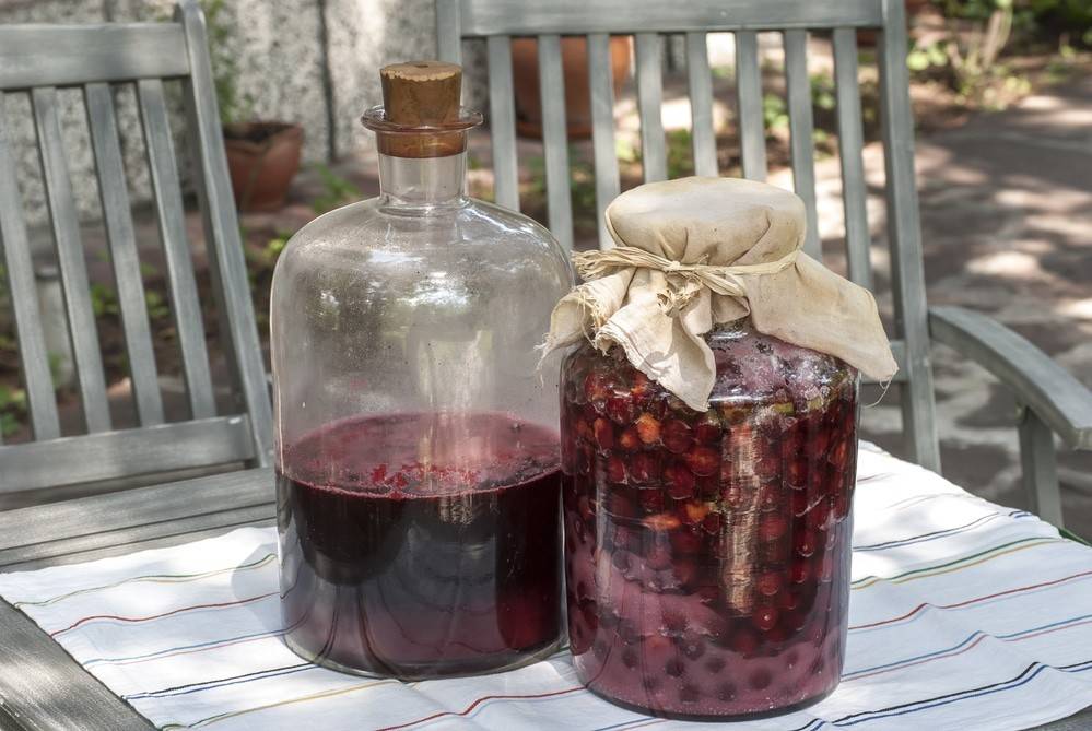 Как сделать вино из вишни в домашних условиях, основные рецепты