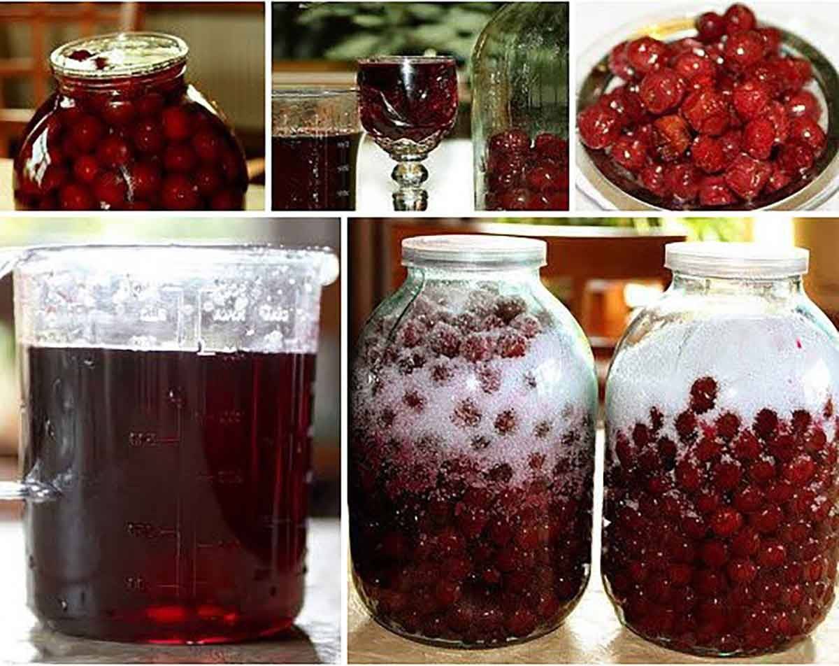 Наливка из вишни в домашних условиях, рецепты приготовления на водке