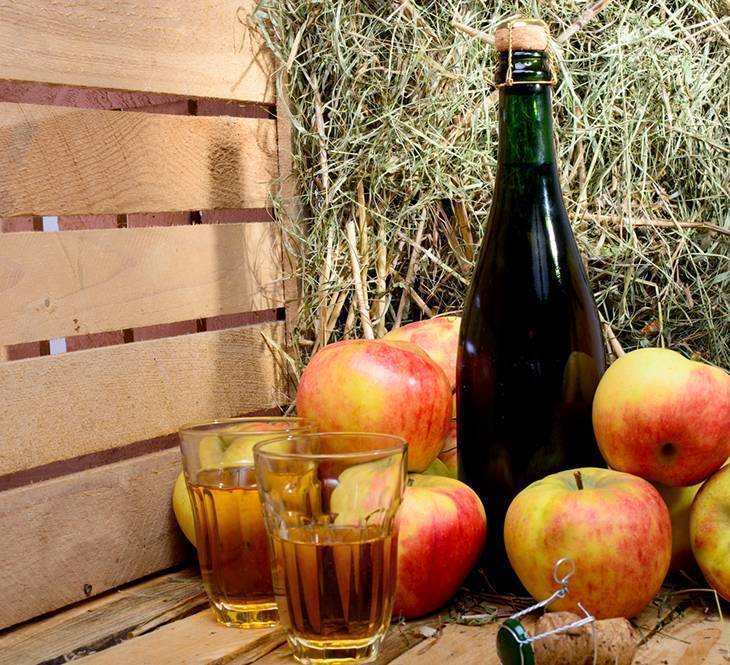 Рецепт яблочного вина по технологии виноделов
