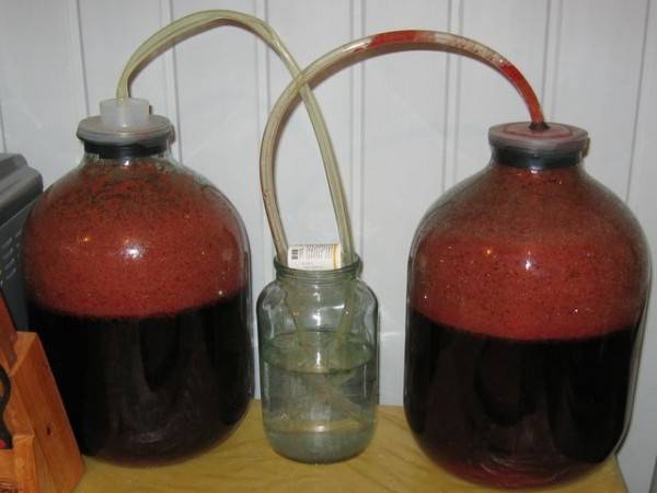 Вино из винограда лидия в домашних условиях: пошаговый рецепт