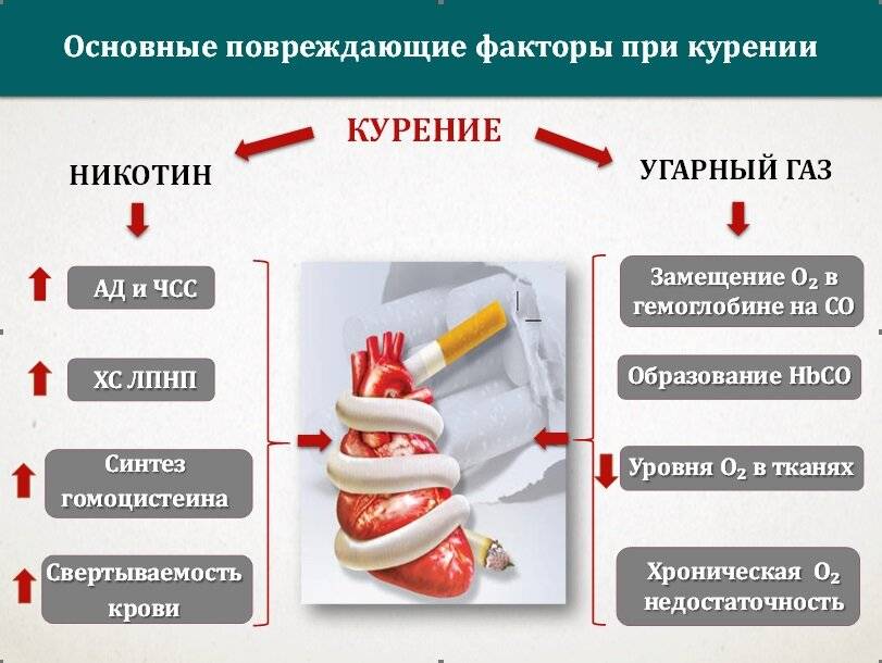Влияет ли курение на сахар в крови и можно ли курить при сахарном диабете 1 и 2 типа