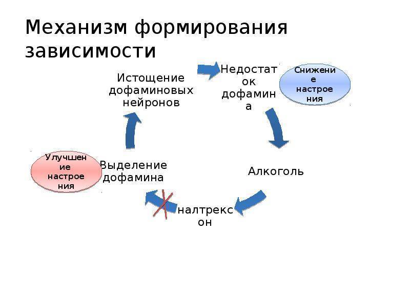 Патофизиология алкоголизма презентация