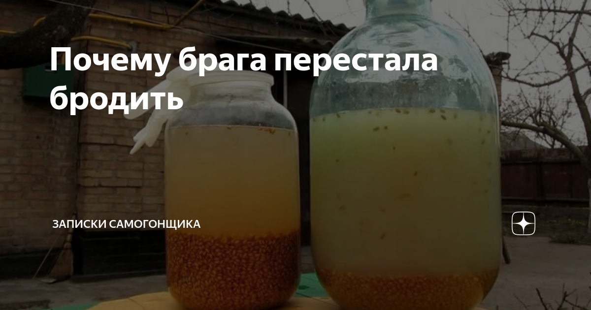 Можно ли гнать самогон из недобродившей браги?